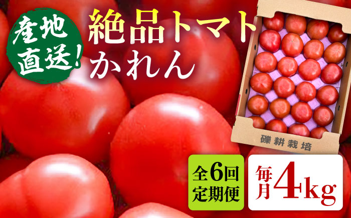 
            【全6回定期便】糸島産 絶品トマト かれん (4kg28玉前後) 糸島市 / シーブ 野菜 とまと 大玉トマト [AHC067]
          