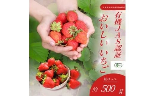 
            おいしいいちご　有機JAS認証いちご　500g　24粒 ／ 苺 果物 フルーツ 完熟いちご 有機いちご 自然栽培 オーガニック 香り豊か 甘酸っぱい 国産 河南町産 大阪府 特産 No.407
          