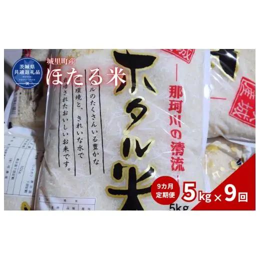 【9カ月定期便】ほたる米 5kg（茨城県共通返礼品・城里町産） / 米 こめ コメ お米 おこめ ほたる米 白米 精米 ごはん ご飯 令和7年産 5kg 定期便 茨城県 城里町 利根町