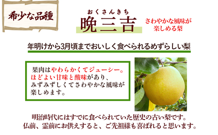 【期間限定】令和8年産 希少梨 晩三吉 5kg（5～12玉） 倉吉産 福井果樹園 梨 ブランド梨 冬梨 希少品種 果物 フルーツ 先行予約 和梨 数量限定