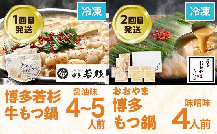 定期便 もつ鍋 グルメ 定期便 約4人前 通年 6回 6ヶ月 食べ比べ 頒布会 醤油 味噌 若杉 もつ鍋 国産 牛 小腸 定期発送 冷凍 グルメ 福岡グルメ 牛肉 牛もつ鍋 鍋 鍋セット みそ スープ