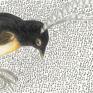 アート作品「フキナガシフウチョウ」（小） 【169006】 絵画 ｲﾝﾃﾘｱ ｱｰﾄ 芸術品 美術品