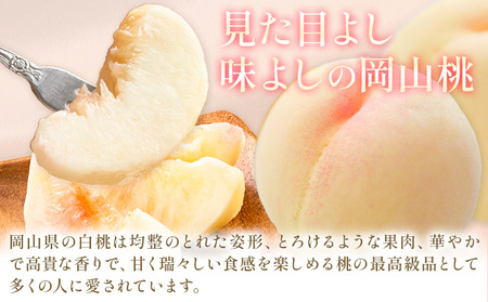 【3か月定期】岡山の桃 3種食べ比べ 各1kg【配送不可地域あり】 桃