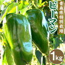 【ふるさと納税】【青森県特別栽培】ピーマン 1kg ピクシー 野菜 旬 青森県 八戸市 東北 国産 送料無料