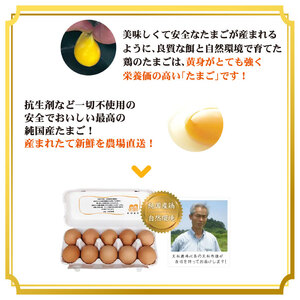 【純国産たまご】 18個 たまご 有精卵