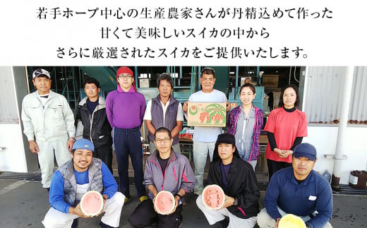 先行予約【JAおきなわ】厳選すいか！ぬちぐすいーとwinter　