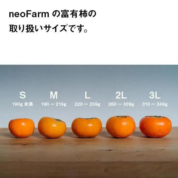 【特選品】岐阜県大野町産　富有柿 L 14個入り【2026年11月下旬～発送】 富有柿