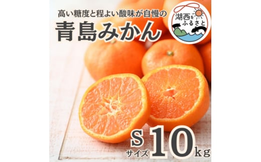 ＜先行受付＞＜2026年1月初旬頃より順次出荷予定＞青島みかん約10kg Sサイズ〔鈴木農園〕【1510123】