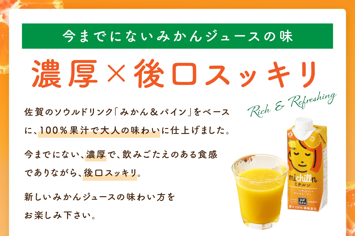 【佐賀県産温州みかん使用】 果汁 ミックスジュース ミチルン 330ml×12本 173-A058