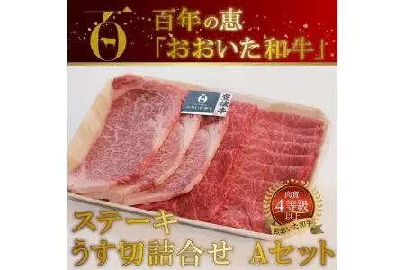 百年の恵 「おおいた和牛」 ステーキ・うす切詰合せ Aセット約700g A01063
