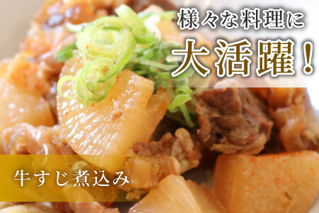 最速発送 数量限定 飛騨牛 すじ肉 400g A5 A4 国産 牛 冷凍 和牛 牛肉 スジ すじ 牛すじ 牛すじ肉 煮込み用