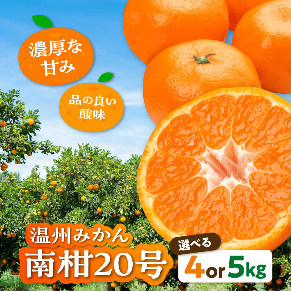 【ふるさと納税】【12月上旬から順次発送】 【選べる容量】温州みかん 南柑20号 約4～5kg 【まごころ手選り手詰め】 大洲市/カームシトラス[AGBW002] 先行予約 みかん ミカン 蜜柑 果物 フルーツ 愛媛県産 大洲市産 産地直送 おすすめ 人気 お取り寄せ 送料無料 贈答 ギフト