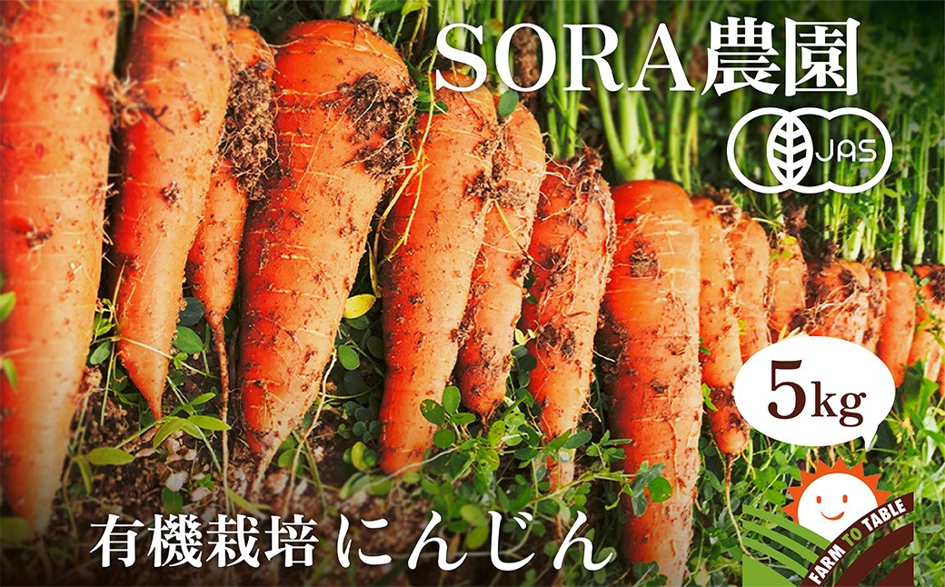 【先行予約11月下旬～順次発送】SORA農園の有機にんじん5kg　SN00006