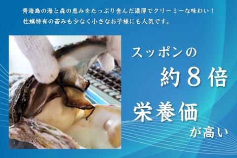 (12018)【定期便】岩カキ  1kg×3回 牡蠣 岩牡蠣 海のミルク 濃厚 クリーミー 夏バテ防止 冷蔵 冷凍 焼き 蒸し& 加熱 定期便  毎月3ヶ月