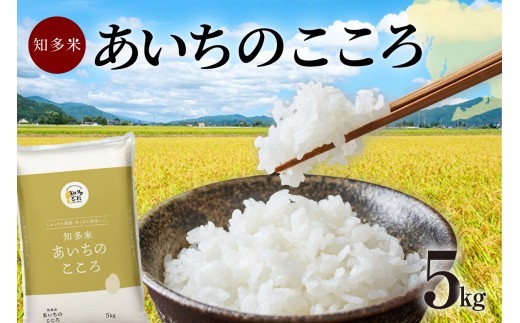 知多米 あいちのこころ 5kg│お米 白米 うるち米 おこめ 国産 精米 ご飯 おにぎり 朝ごはん ライス 和食 日本食 主食 食卓 お弁当 大粒 つや あっさり 食品 知多半島 お取り寄せ 5キロ 愛知県 知多市 特産品
