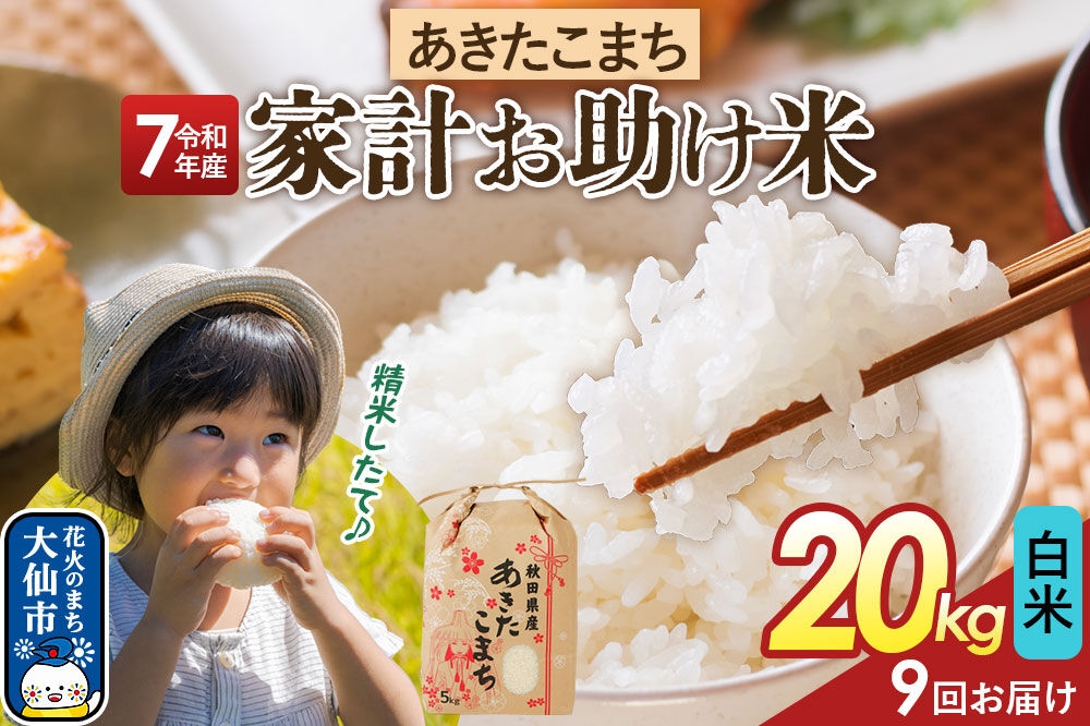 
                  《定期便9ヶ月》【白米】家計お助け米 あきたこまち 20kg（5kg×4） 秋田県産 令和7年産  こまちライン 秋田県 大仙市産 [秋田 お米 米どころ あきたこまち こまちライン]
                