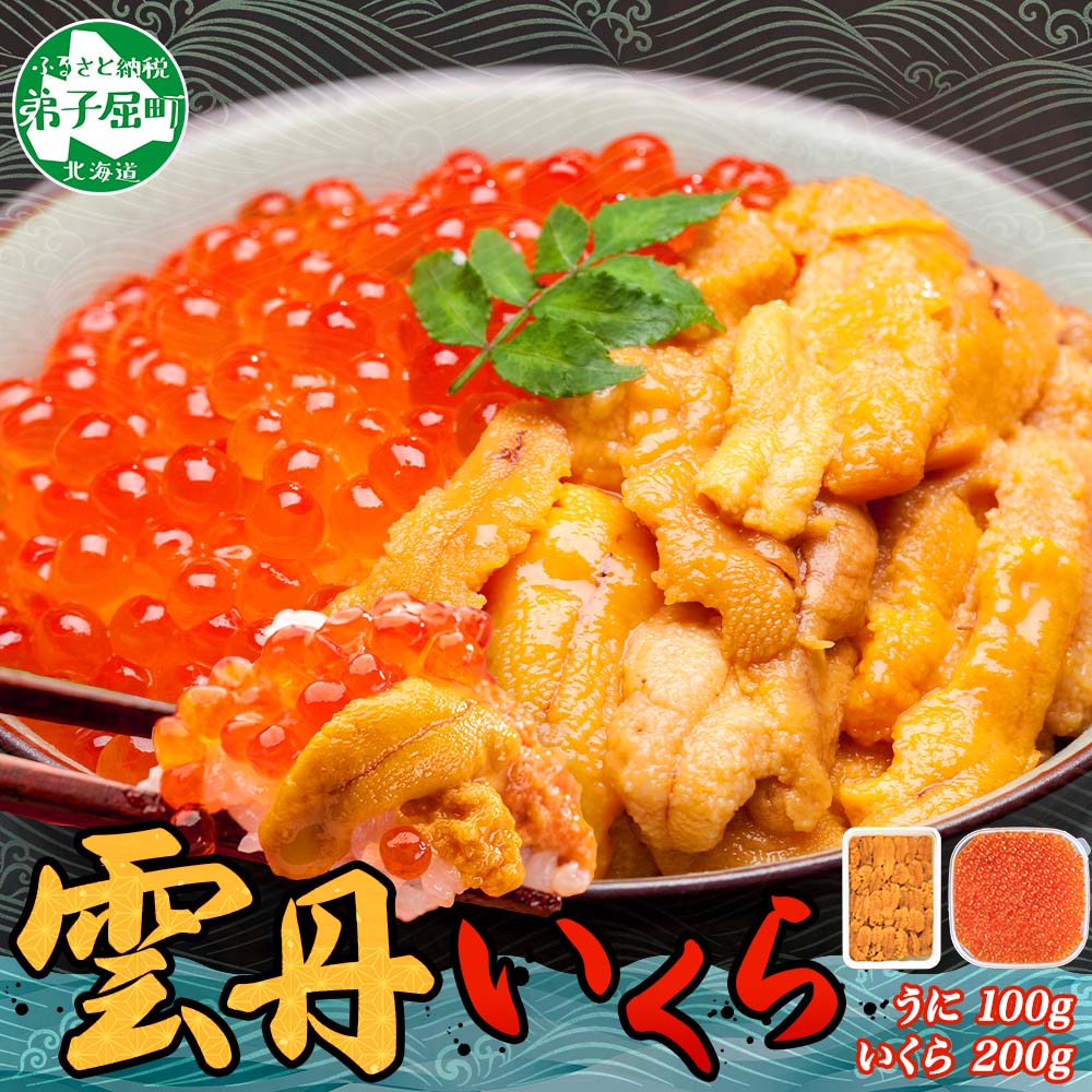 【ふるさと納税】 3366. 雲丹 100g いくら醤油漬け 200g うに さけ いくら しょうゆづけ 海鮮丼 冷凍 鮭 イクラ ウニ 雲丹 海鮮 手巻き寿司 ごはん おかず 人気 お取り寄せ グルメ 贅沢 ギフト お歳暮 お中元 正月 お祝い 送料無料 北海道 弟子屈町