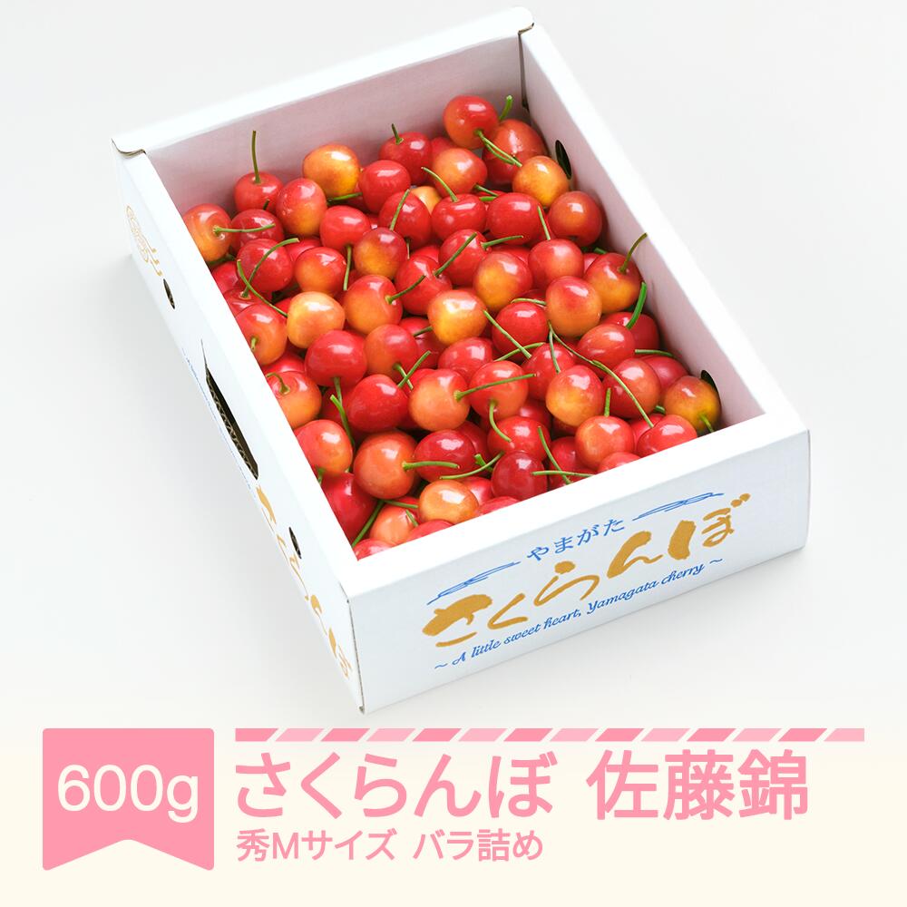 【ふるさと納税】【先行予約】 さくらんぼ 佐藤錦 600g バラ箱 秀M 2027年産 令和9年産 山形県産 ※沖縄・離島配送不可 ns-snsmb600
