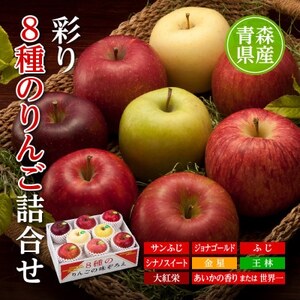 りんご/青森県産　彩り8種のりんご詰合せ【配送不可地域：離島】【1655324】