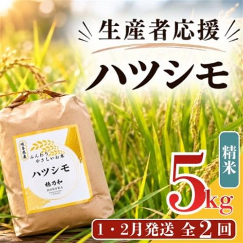 【発送月固定定期便】【先行予約】生産者応援!岐阜県産ハツシモ(精米)5kg【1・2月発送】全2回【配送不可地域：離島】【4073305】