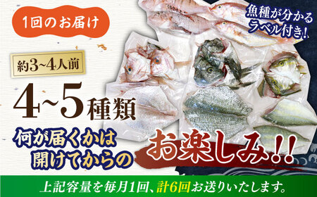 【全6回定期便】【平戸市場直送】旬の獲れたて鮮魚（冷凍）＜4-5種類＞ 平戸市 / ひらど新鮮市場[KAB229]