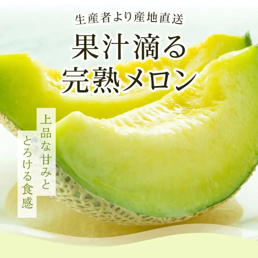 【先行予約】マスクメロン（贈答用） 4玉入 青肉品種 高級メロン！ ／ マスクメロン 果物 フルーツ ギフト 農家直送 NE028