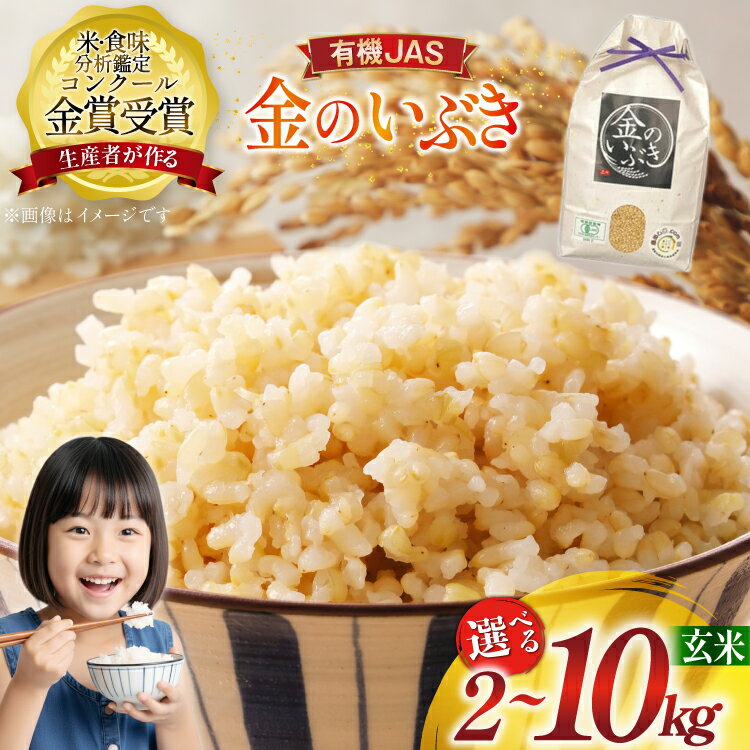 【ふるさと納税】【選べる】 令和7年産 米 金のいぶき 玄米 2kg 5kg 10kg ★コンクール金賞受賞生産者がつくるお米★ [農家の蔵出し米生産組合 山形県 高畠町 tk06ays900039] お米 コメ こめ kome ご飯 ごはん ブランド米 山形 2キロ 5キロ 10キロ