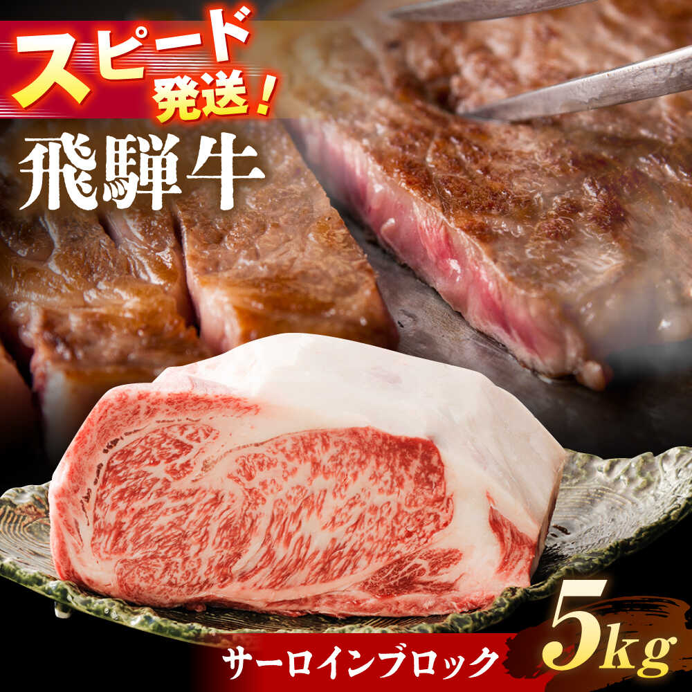 【ふるさと納税】飛騨牛 サーロイン ブロック 5kg 瑞浪市 / 養老ミート 冷凍 和牛 ギフト[AZDB014]