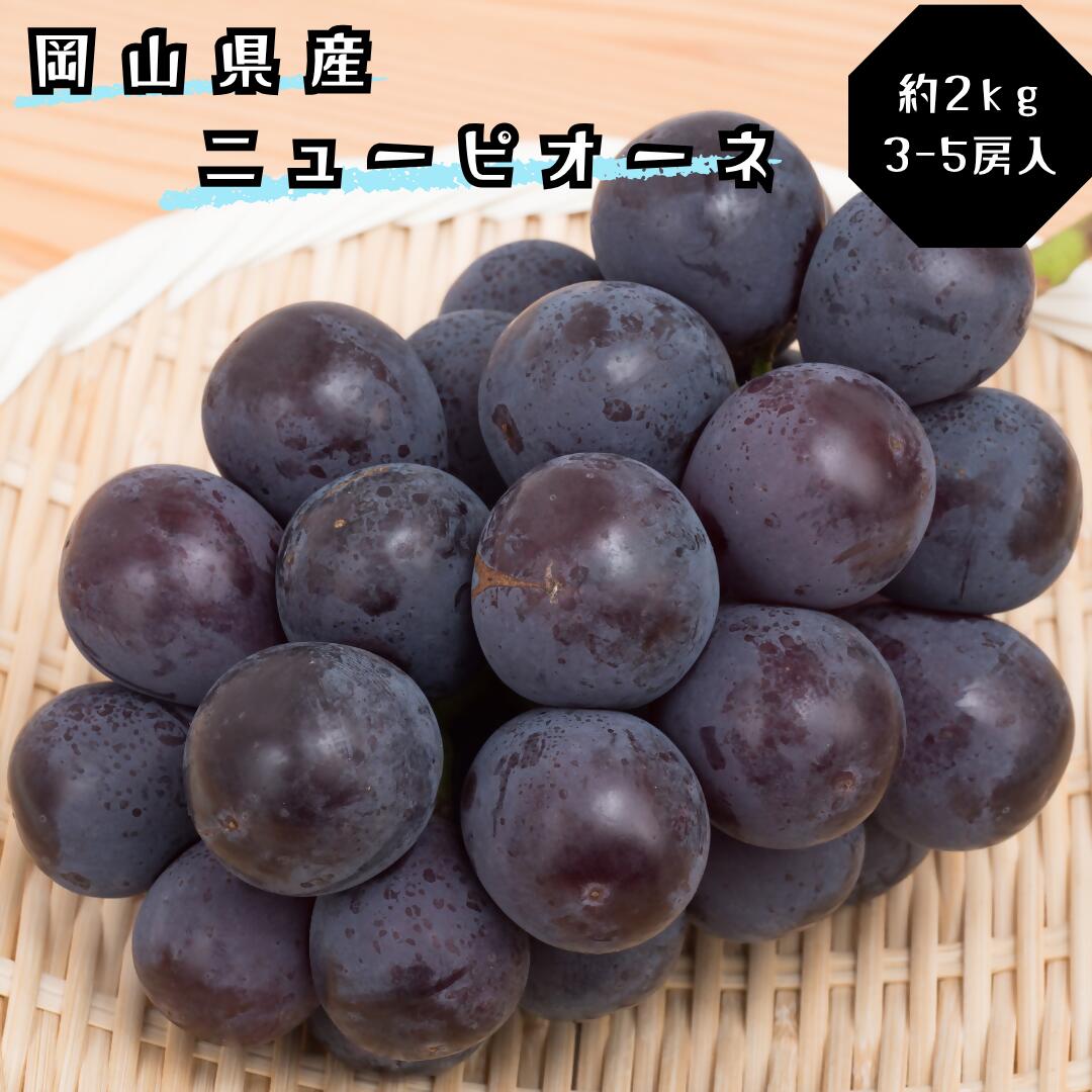 【ふるさと納税】ぶどう ニューピオーネ 秀品 約2kg 3-5房 岡山県産 ぶどうギフト 御礼 プレゼント 御礼 御祝 御供 果物 くだもの フルーツ　土-31