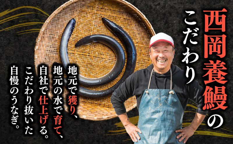 【3回 定期便】国産うなぎ 2尾 西岡うなぎ セット 詰め合わせ 蒲焼 ウナギ 2尾 うなぎ 鰻 ウナギ unagi 土用 丑の日 国産 国産うなぎ うなぎ 西岡養鰻 うなぎの西岡養鰻 蒲焼 タレ付 