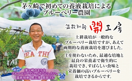 ブルーベリー農園 摘み取り券 収穫 太陽 養液栽培 美味 育つ ジャム バター 地場産  新鮮 卵 スプレッド 濃厚 風味 温故知新 開工房 農園 果実 摘み取り 完熟 農園 あっさり 食パン 採れた
