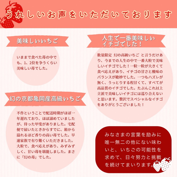 【先行予約】数量限定 幻の京都亀岡産 高級いちご【女峰】1箱分 ※化学肥料・農薬極力不使用《イチゴ 苺 いちご フルーツ 農家直送》※2025年1月中旬～5月下旬頃に順次発送予定