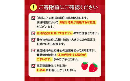 2027年1月~2月順次発送 いちご きらぴ香 約1kg いちご