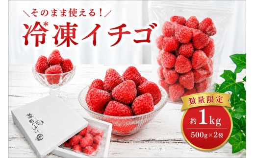 限定100個 冷凍とちあいか 1kg｜栃木県 真岡市 いちご 苺 フルーツ スムージー デザート ヨーグルト  送料無料