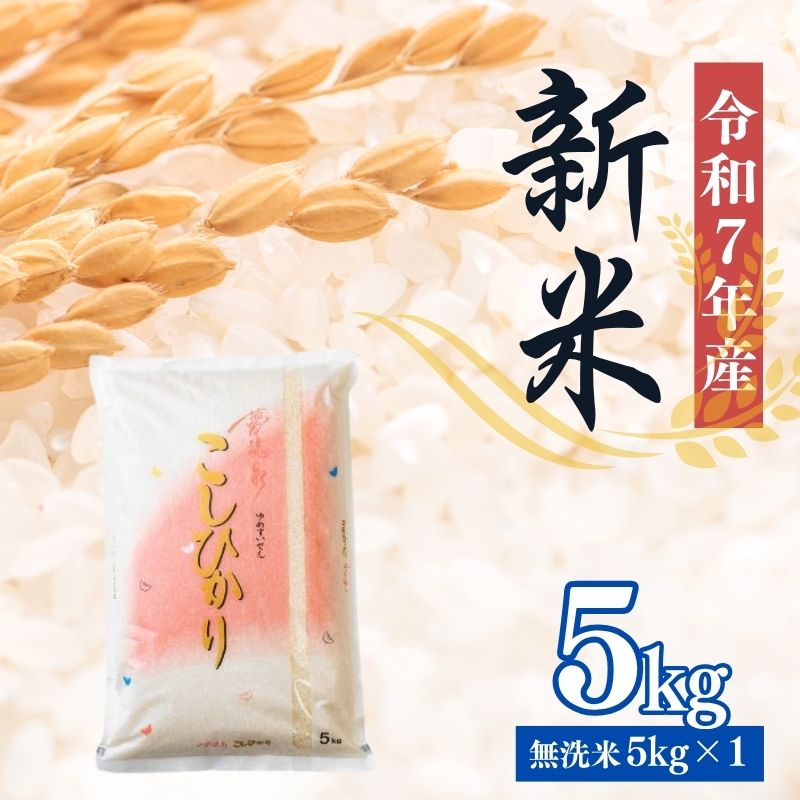 【ふるさと納税】No.2500大文字屋米穀店【令和7年産新米　先行予約】コシヒカリ精米（無洗米）1等米 5kg
