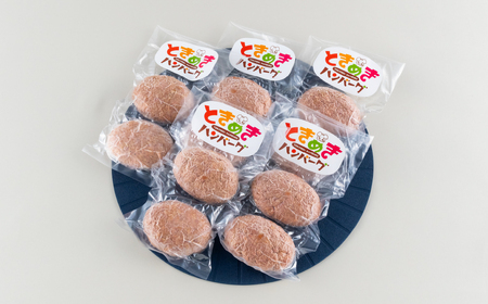 長崎県産黒毛和牛100%ときめきハンバーグセット