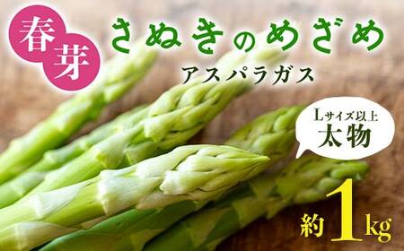 【先行予約2027年2月中旬～2027年6月下旬頃お届け】春芽 太物(Lサイズ以上) さぬきのめざめアスパラガス 約1kg F5J-765