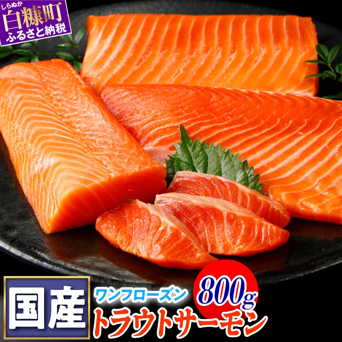 6/2～ 寄付額改定 高評価 4.93 国産ワンフローズントラウトサーモン 850g ふるさと納税 魚 サーモン 鮭 刺身 さけ サケ 人気 ふるさと 海鮮 海鮮食品 魚介類 魚介 北海道 白糠町
