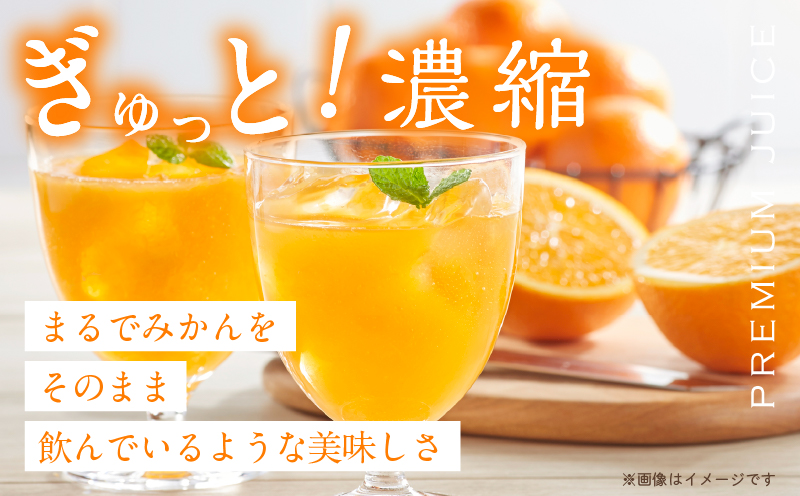 【お中元・夏の贈り物】果汁 100％ まる搾り みかん ジュース 220ml×6本 機能性表示食品 飲料 ソフトドリンク 果物 フルーツ 柑橘 ミカン シャーベット 国産 人気 おすすめ ギフト おす