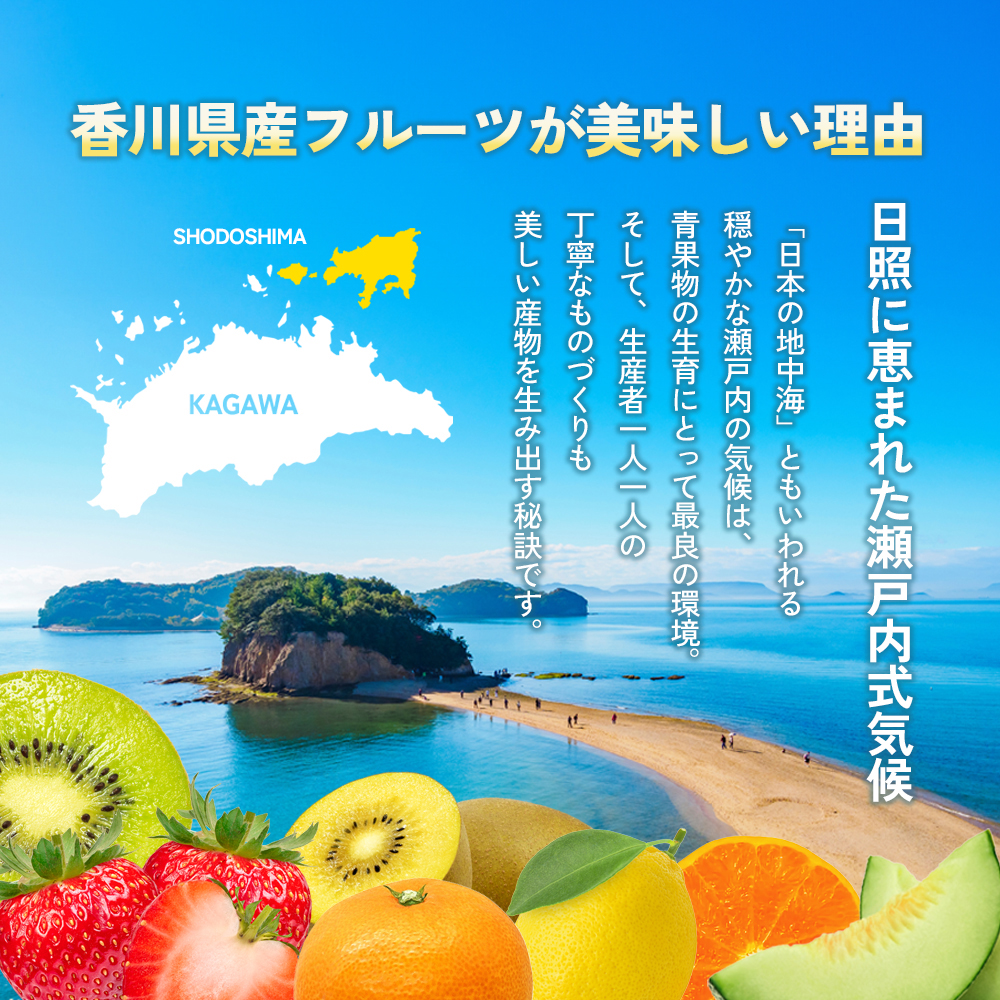 【 小豆島 】小豆島 はるみみかん 約2kg 蜜柑 みかん ミカン はるみ 果物 フルーツ 国産 くだもの 国産 香川 香川県 土庄 土庄町