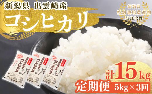 【令和7年産新米】 特別栽培米 新潟県産 コシヒカリ 定期便 5kg 3か月 出雲崎町産 「天領の里」 白米 精米 お米 合計15kg　