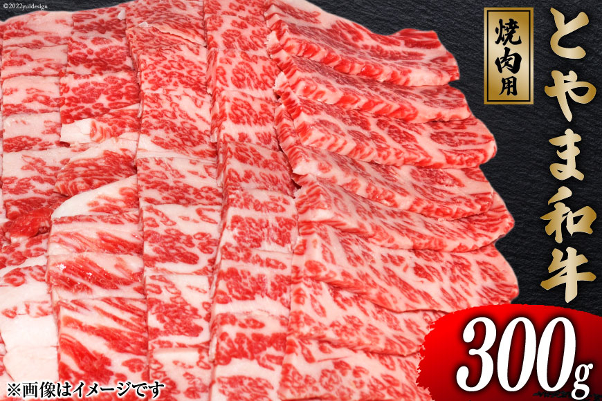 
                  牛肉 とやま和牛 焼肉用 300g [JAみな穂 富山県 朝日町 34310487] 和牛 肉 焼肉 焼き肉 肩ロース A4ランク以上 朝日町産 冷凍
                