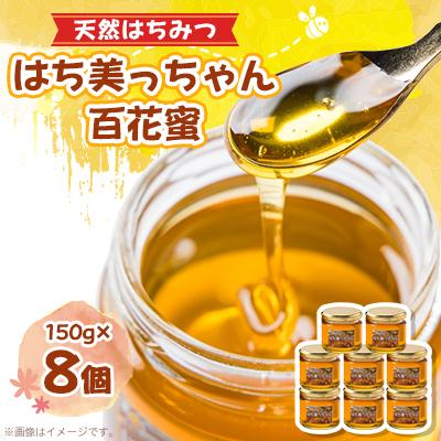 ふるさと納税 尼崎市 天然はちみつ「はち美っちゃん」　百花蜜　150g×8個