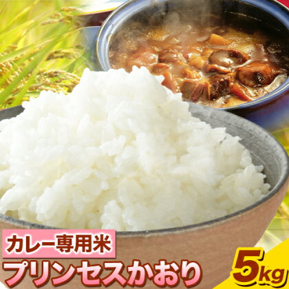 カレー専用米 プリンセスかおり 5kg 有限会社 田中農場《90日以内に出荷予定(土日祝除く)》鳥取県 八頭町 米 お米 ご飯 カレー 送料無料