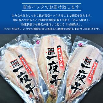 大きさ脂のり自慢!縞ほっけ(約500g)×3枚【配送不可地域：離島】