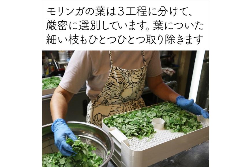 沖縄宮古島産　無農薬モリンガ茶（モリンガティー）2袋