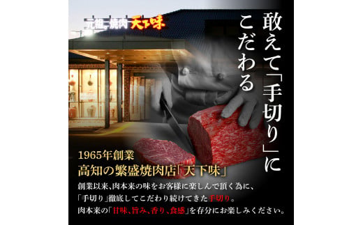 土佐あかうし＆土佐和牛2種食べ比べ 特選ロースブロック500g 計2P 田野屋銀象完全天日塩2P付 牛肉 肉 お肉 和牛 国産 牛 赤身 ヒレ カルビ ロース【株式会社LATERAL】 [BQAU08
