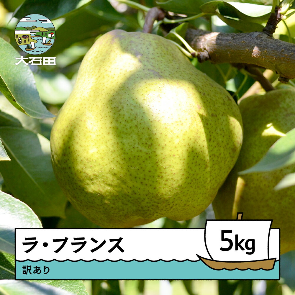 【ふるさと納税】 洋梨 ラ・フランス 訳あり 約5kg 令和7年産 2025年産 ry-lawxx5000 ※沖縄・離島への配送不可