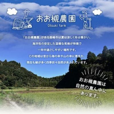 ふるさと納税 鹿嶋市 【毎月定期便】季節の野菜セット・百笑懸命栽培野菜セット全3回 |  | 01