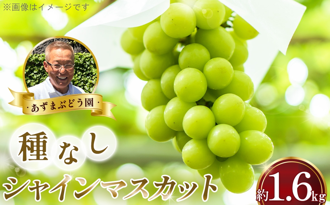 
                  シャインマスカット 種なし 1.6kg【あずまぶどう園】 ／ 産地直送 ぶどう マスカット フルーツ 旬 大野ぶどう 芳醇な香り とろける甘さ 高糖度 濃厚 甘み ジューシー 国産フルーツ お取り寄せ 送料無料 No.376
                